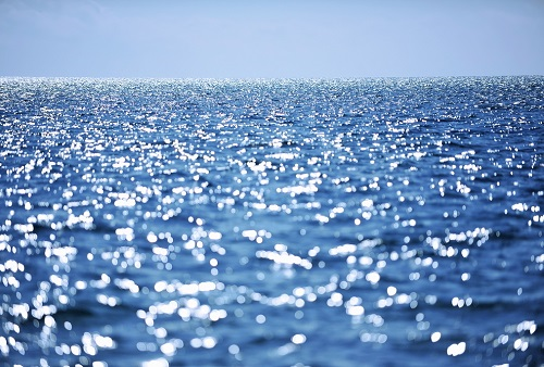 1673339920102230.png image.png