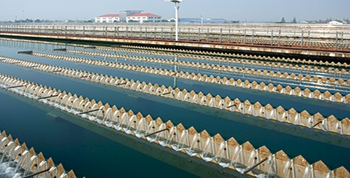 1675233273431649.png image.png