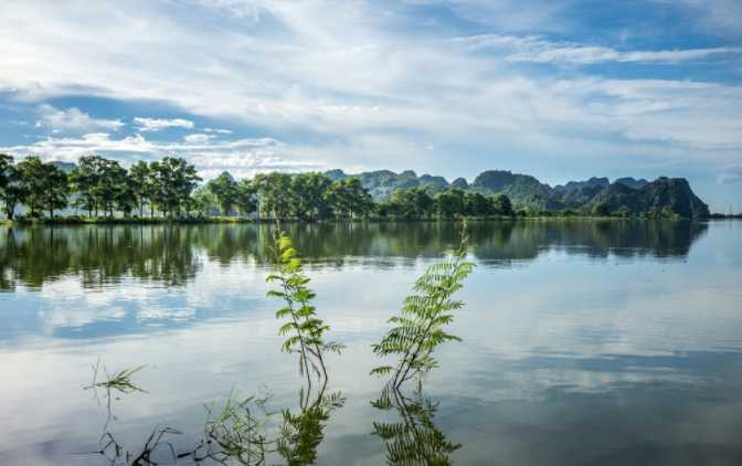 多參數(shù)水質(zhì)檢測(cè)儀是保證農(nóng)業(yè)水質(zhì)的一劑強(qiáng)心針(水質(zhì)檢測(cè)儀在農(nóng)業(yè)生產(chǎn)的作用)