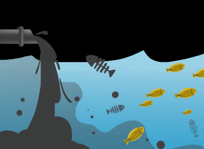 如何判斷水質(zhì)檢測儀質(zhì)量的好壞?(什么樣的水質(zhì)監(jiān)測儀才算好的)