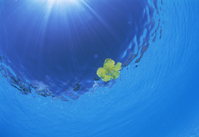 水質采樣器應該怎樣保養與維護?(水質采樣器注意定期清潔和消毒)