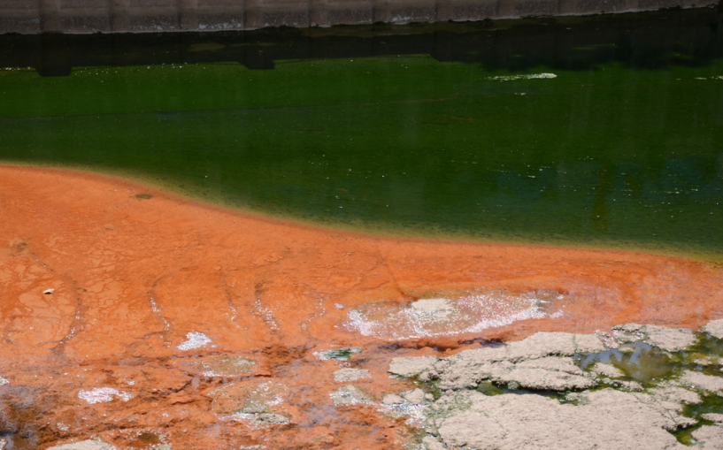 水質重金屬分析儀:快速評估污染水體